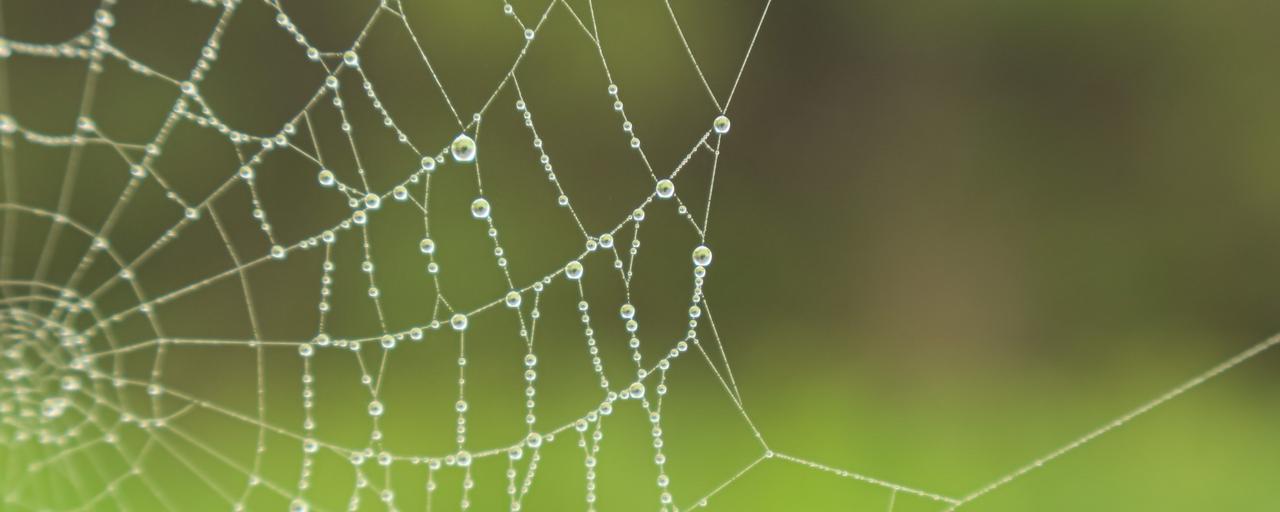 Ingen beskrivning tillgänglig